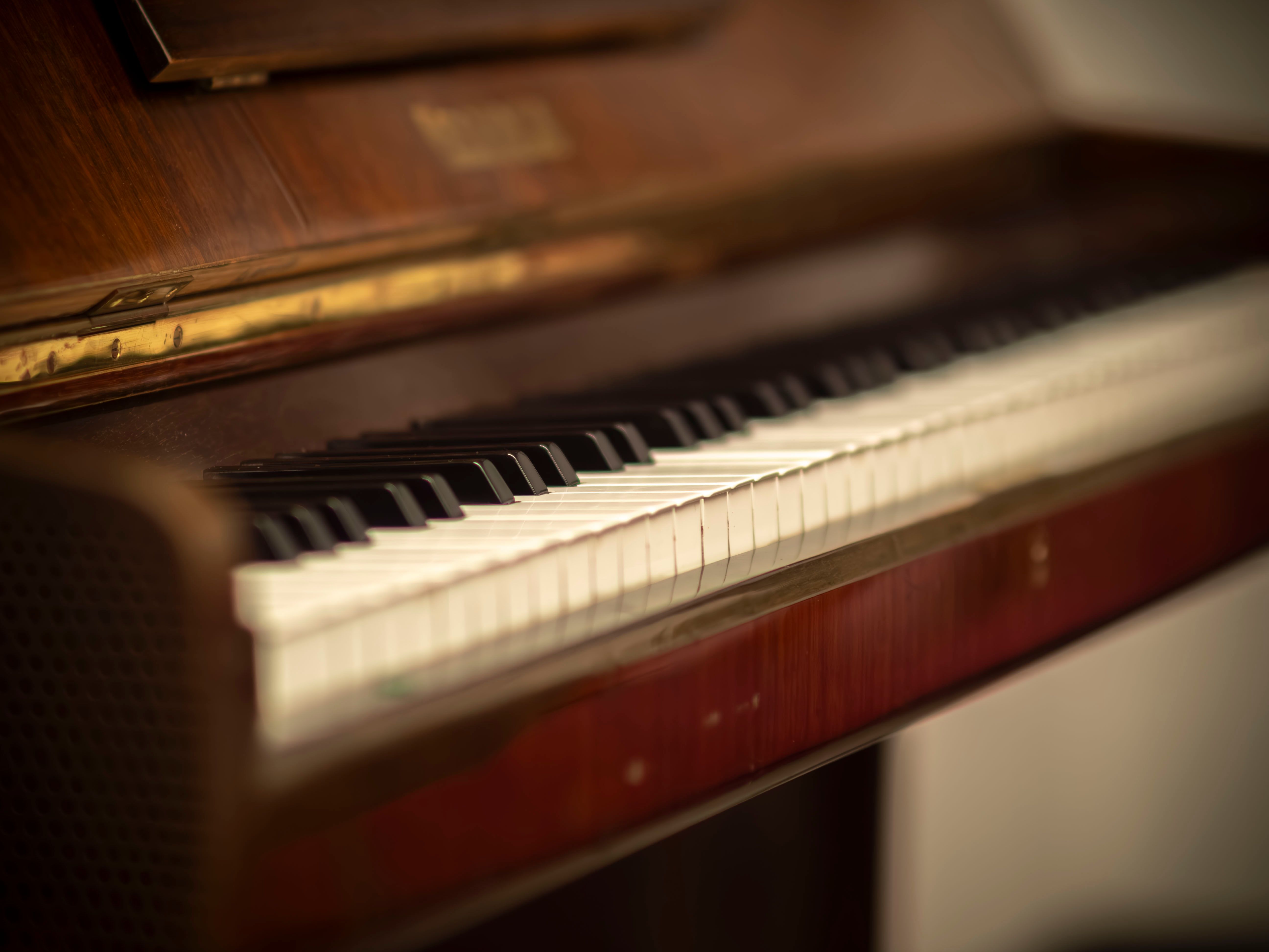 Harmonium Reeds